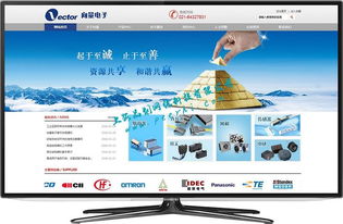 閔行網站建設與網絡開發 打造專業、高效的在線平臺