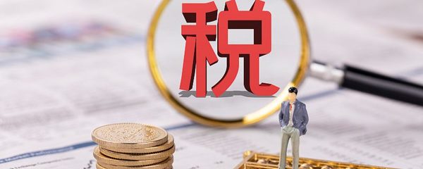 海口個(gè)人所得稅繳費(fèi)指南與流程全解析